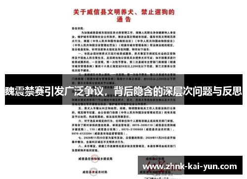 魏震禁赛引发广泛争议,背后隐含的深层次问题与反思 魏震禁赛引发广泛争议,背后隐含的深层次问题与反思